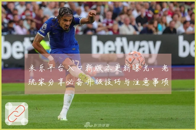 米乐平台入口新版本更新曝光，老玩家分享必备升级技巧与注意事项