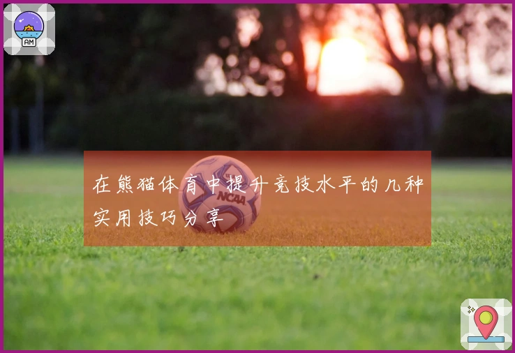 在熊猫体育中提升竞技水平的几种实用技巧分享